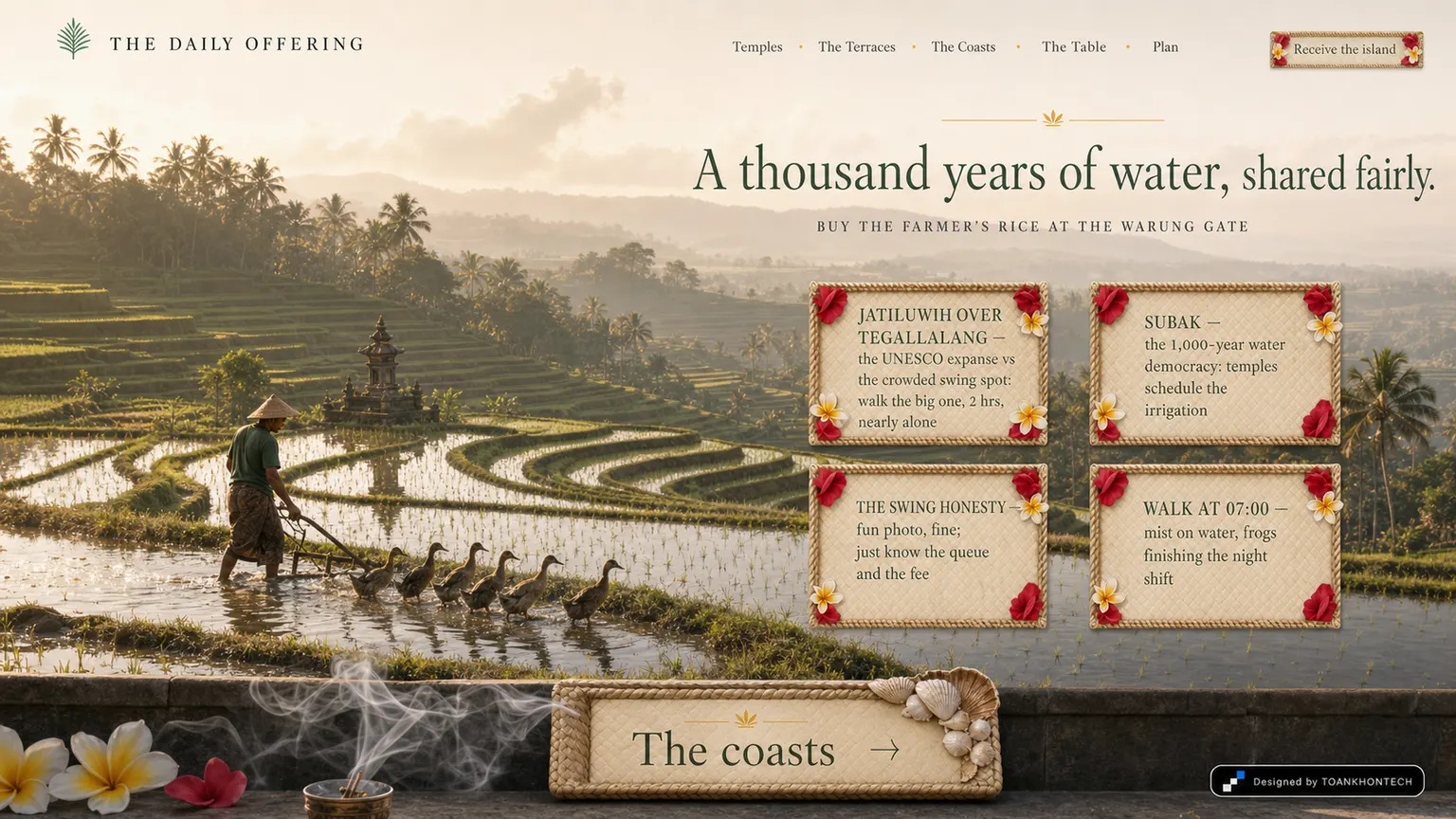 THE DAILY OFFERING website concept artboard focused on terraces