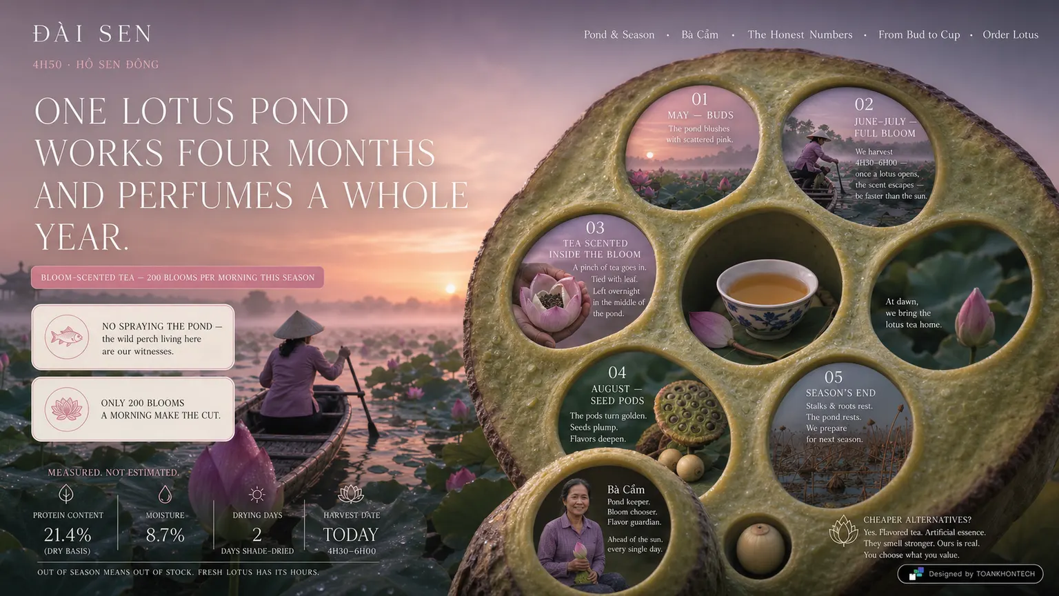 ĐÀI SEN website concept artboard focused on place of origin