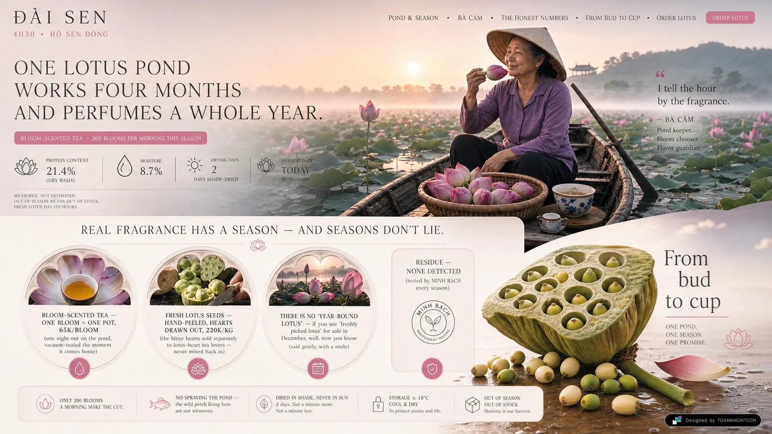 ĐÀI SEN website concept artboard focused on traceable proof