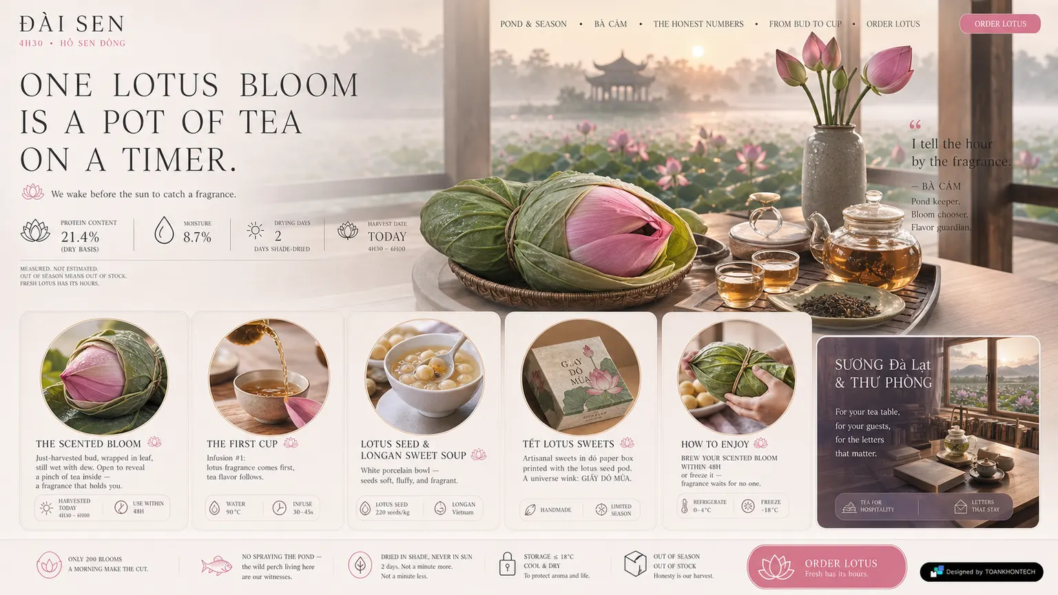 ĐÀI SEN website concept artboard focused on product choice