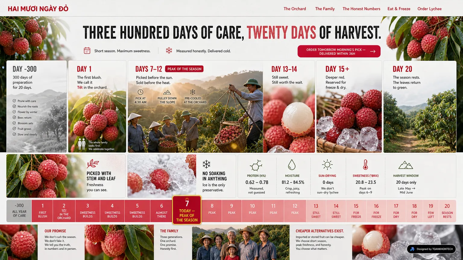 HAI MƯƠI NGÀY ĐỎ website concept artboard focused on place of origin