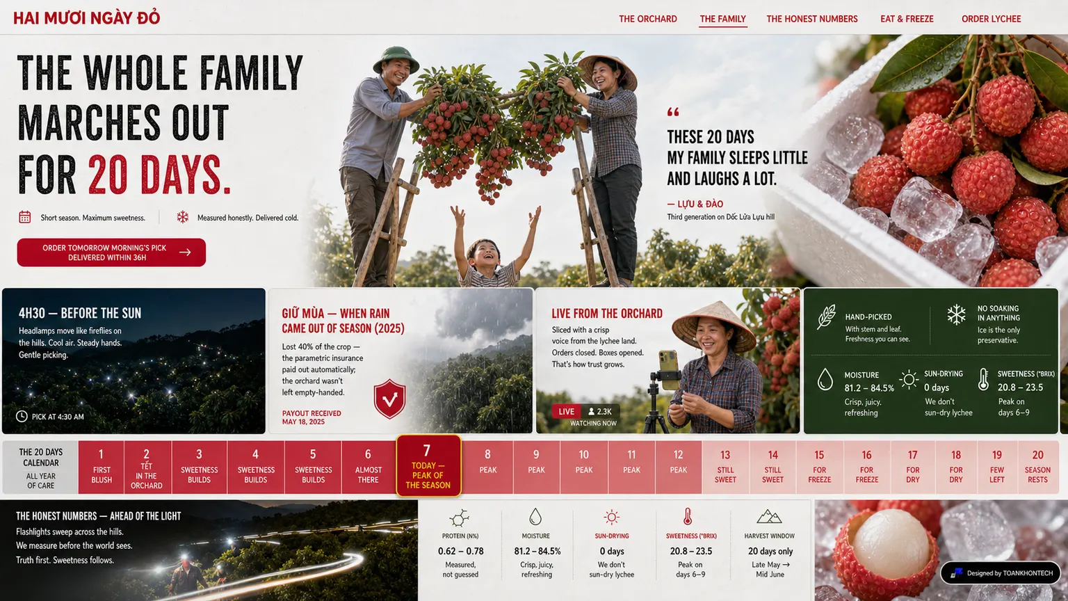 HAI MƯƠI NGÀY ĐỎ website concept artboard focused on maker record