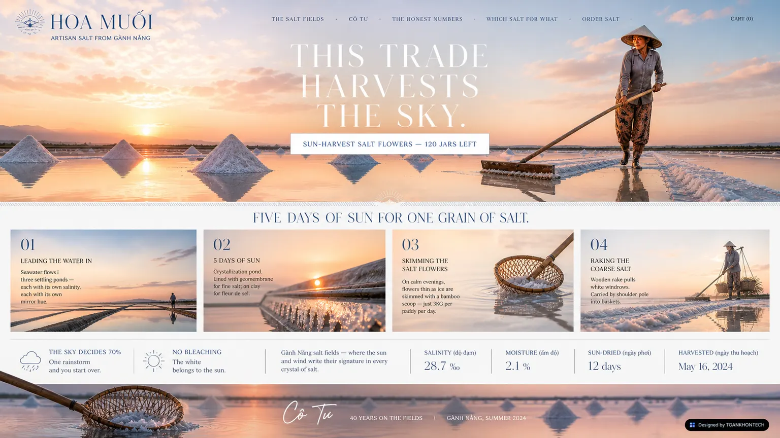 HOA MUỐI website concept artboard focused on place of origin