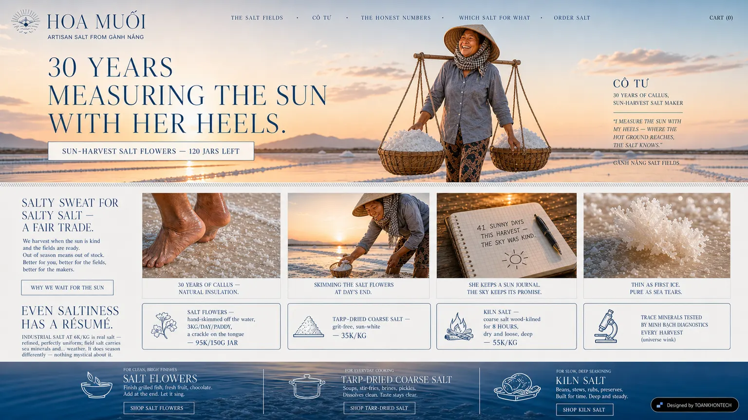 HOA MUỐI website concept artboard focused on traceable proof