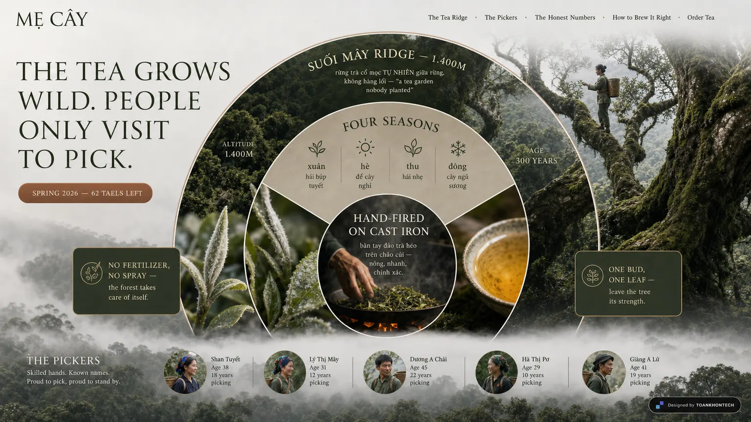 MẸ CÂY website concept artboard focused on place of origin