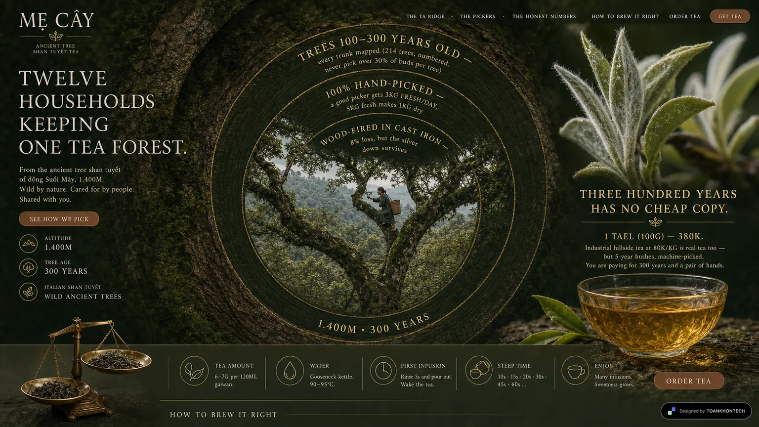 MẸ CÂY website concept artboard focused on traceable proof