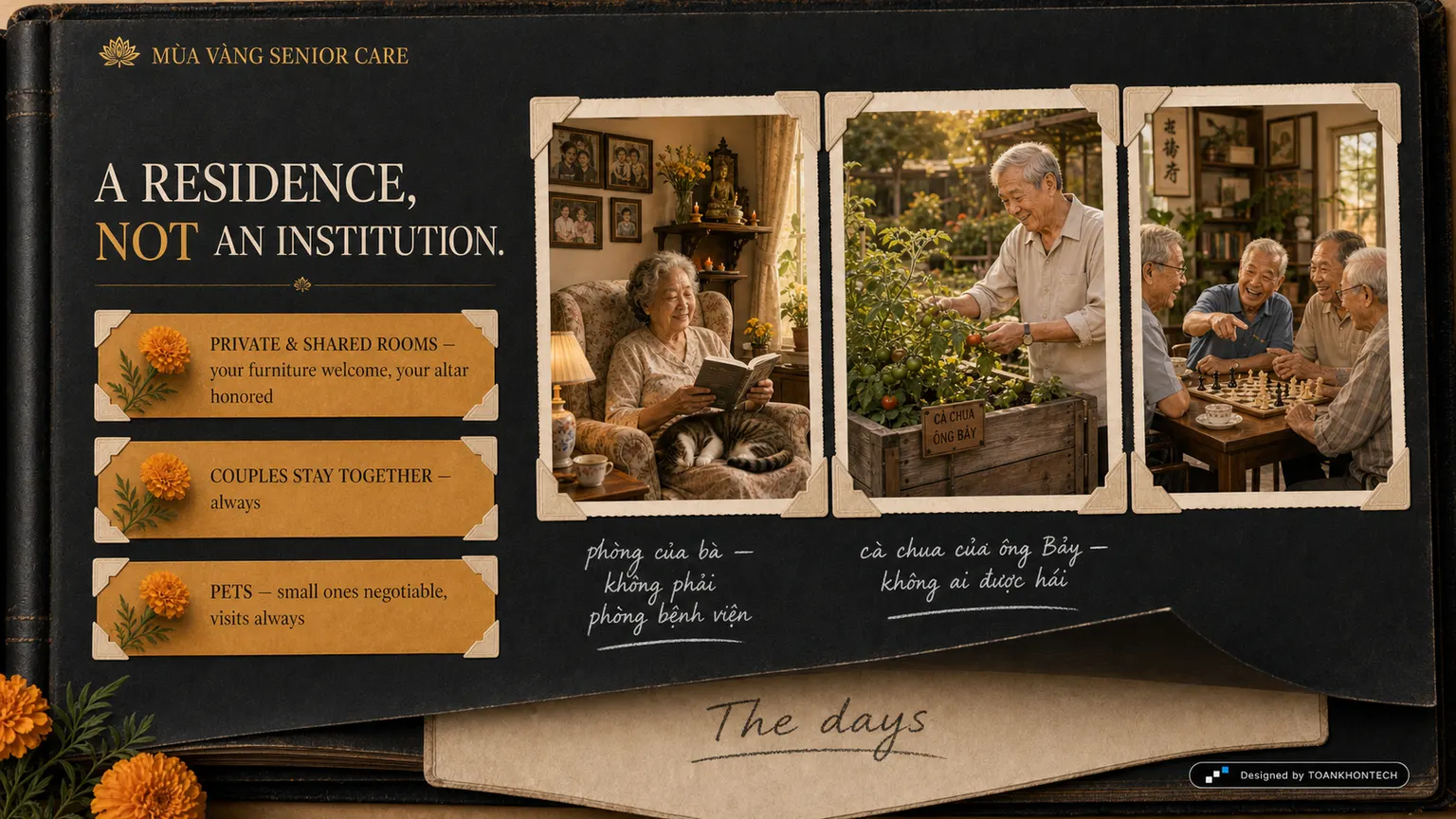 MÙA VÀNG SENIOR CARE website concept artboard focused on livinghere