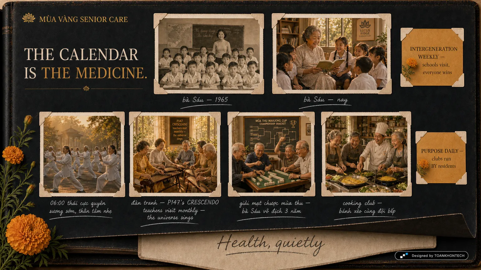MÙA VÀNG SENIOR CARE website concept artboard focused on thedays