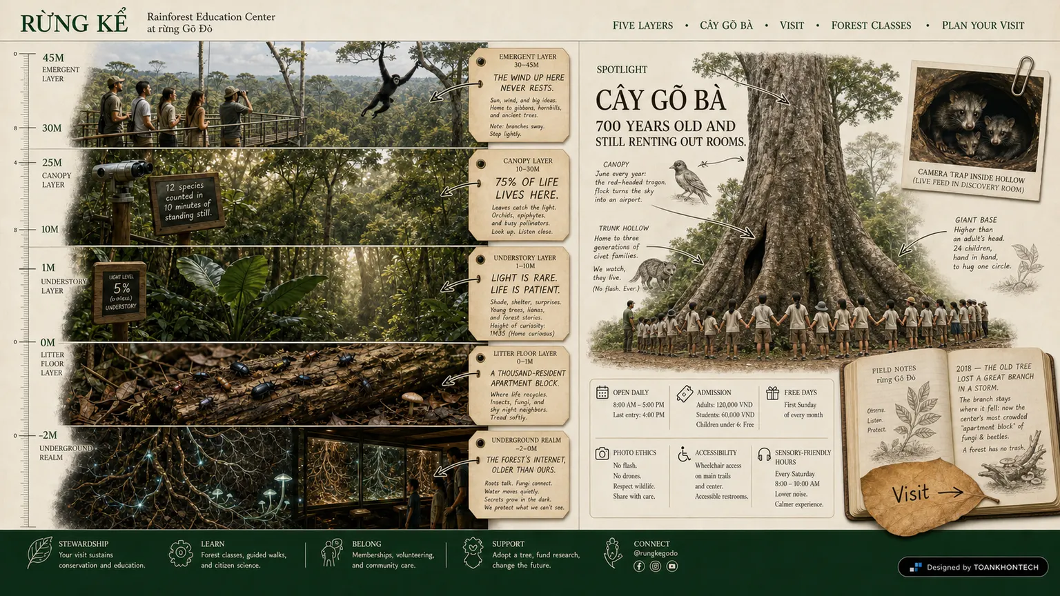 RỪNG KỂ website concept artboard focused on collection object