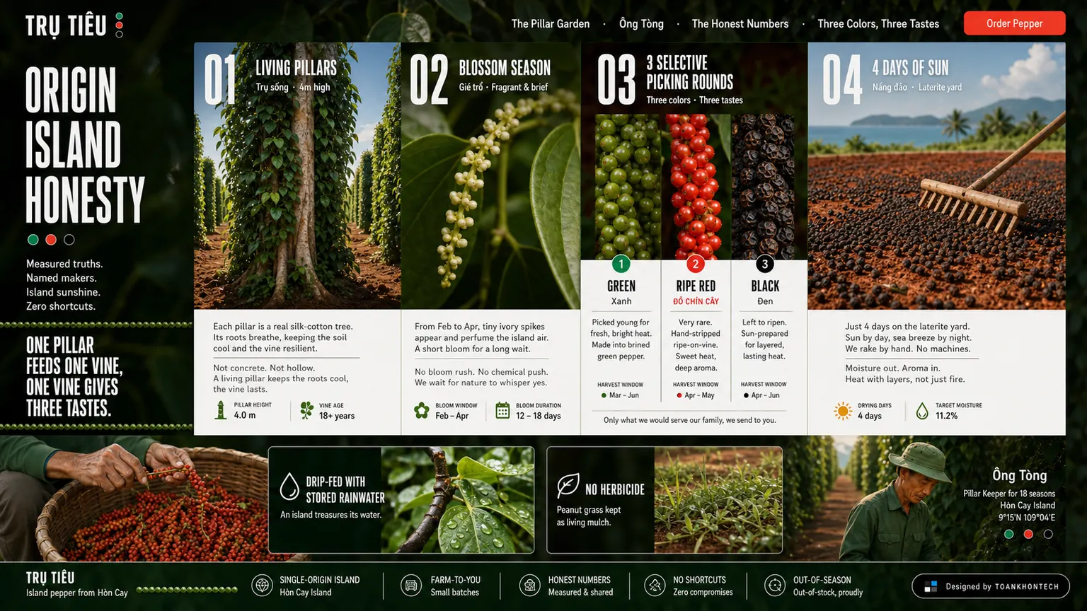 TRỤ TIÊU website concept artboard focused on place of origin