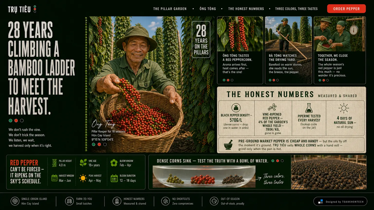 TRỤ TIÊU website concept artboard focused on traceable proof