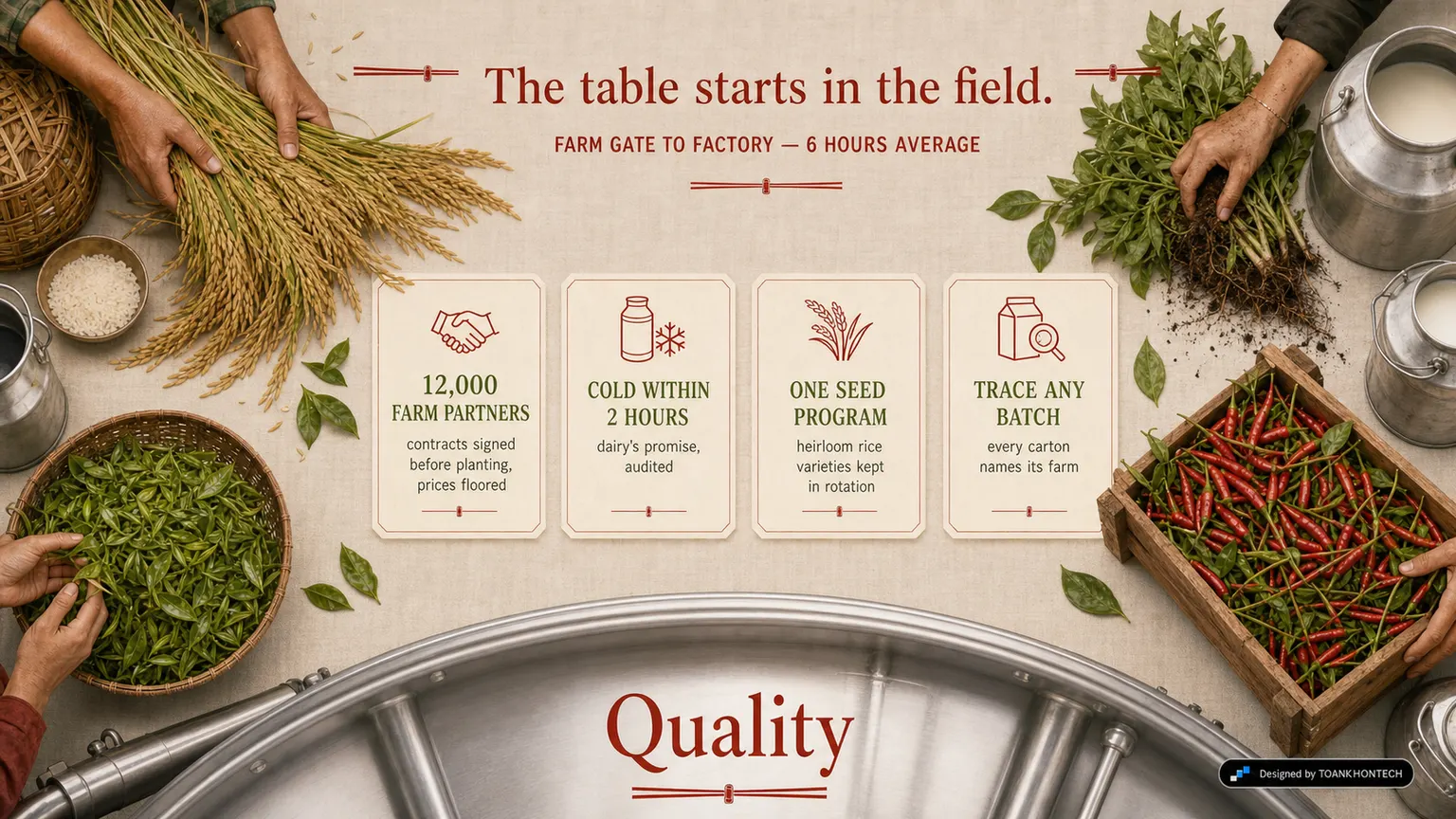 VIỆT HẢO FOODS website concept artboard focused on farm