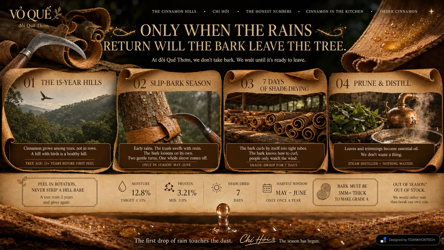 VỎ QUẾ website concept artboard focused on place of origin